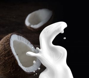 extraer la leche de coco de la carne triturada. Agregue un poco de agua al coco rallado y mezcle bien extraer la leche de coco de la carne triturada. Agregue un poco de agua al coco rallado y mezcle bien